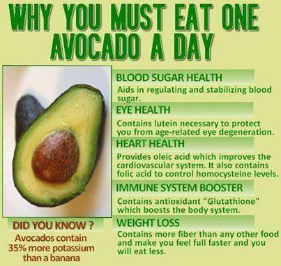 avocado