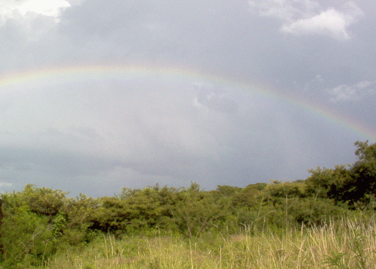 rainbow over la yacata