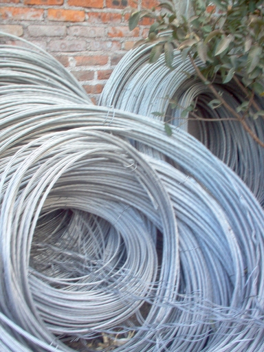 wires in the backyard