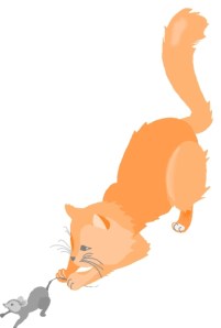 cat mouse