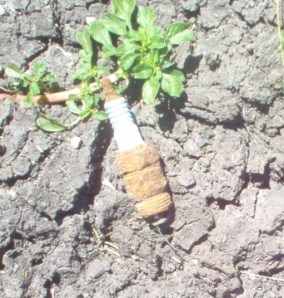 Old spark plugs are used in fishing.