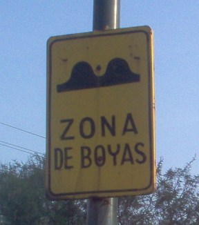 boya sign