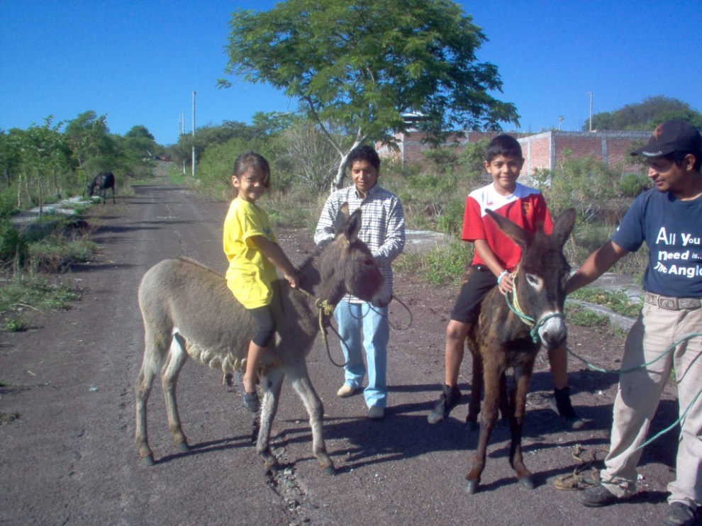 donkey riders
