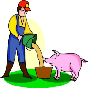 pig farmer
