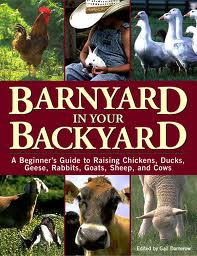 barnyard