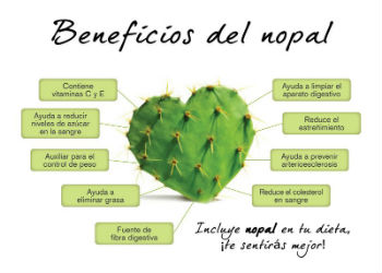 nopal