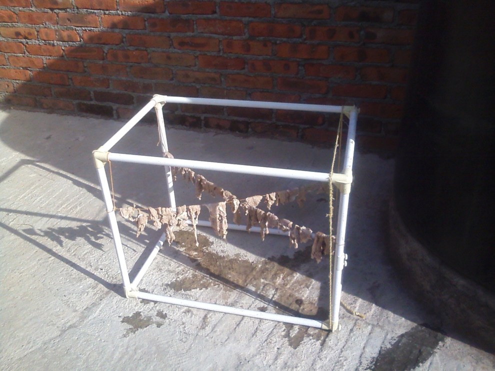 drying goat meat