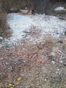 One of several piles of rotting chicken feathers in La Yacata.