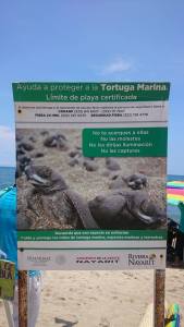 13883796_1099332300114882_2086349060_n