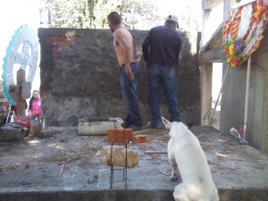 As you can see, the cousin took his shirt off since he was slopping cement EVERYWHERE! That's the cousin's dog climbing the crypts.