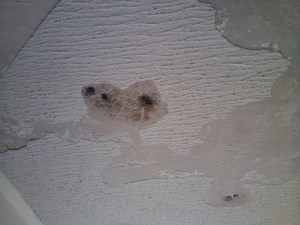Ceiling holes