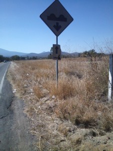 I have no idea what the smaller sign means. Women dragging men?