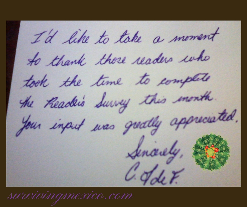 survivingmexico.com (1)