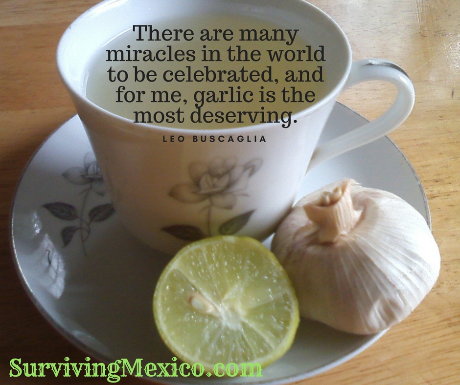 There are many miracles in the world to be celebrated, and for me, garlic is the most deserving.