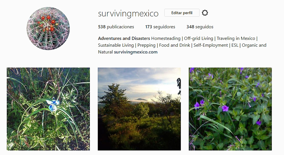 Captura de pantalla (53)