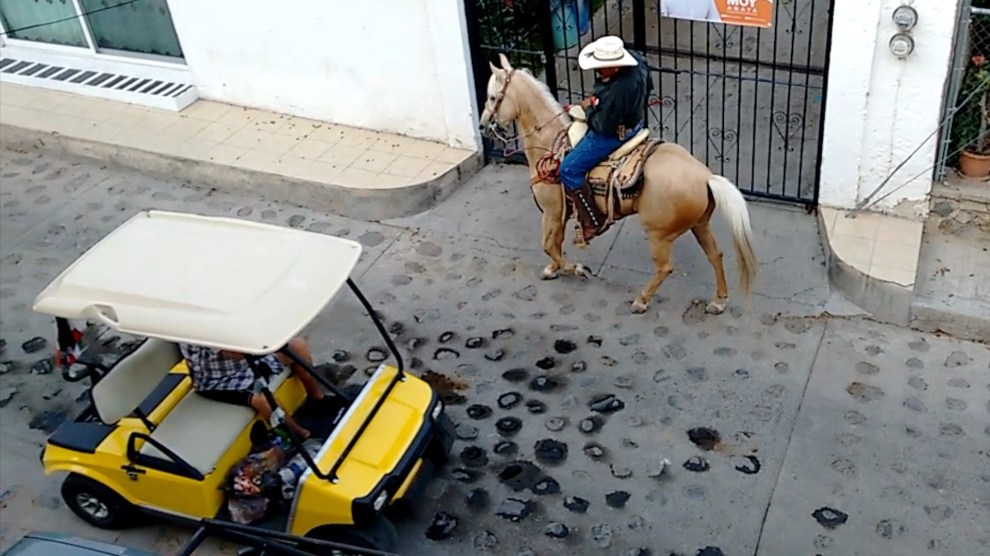 Mexico and Me photo horse and buggy.jpg