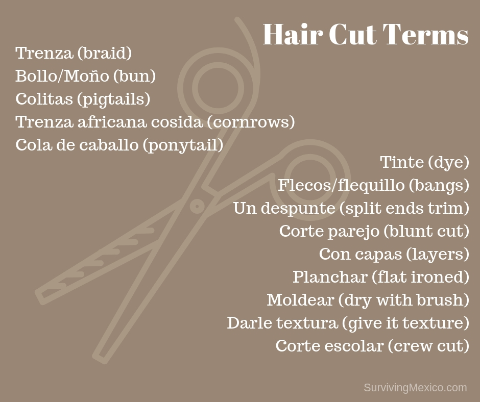 Hair Cut Terms