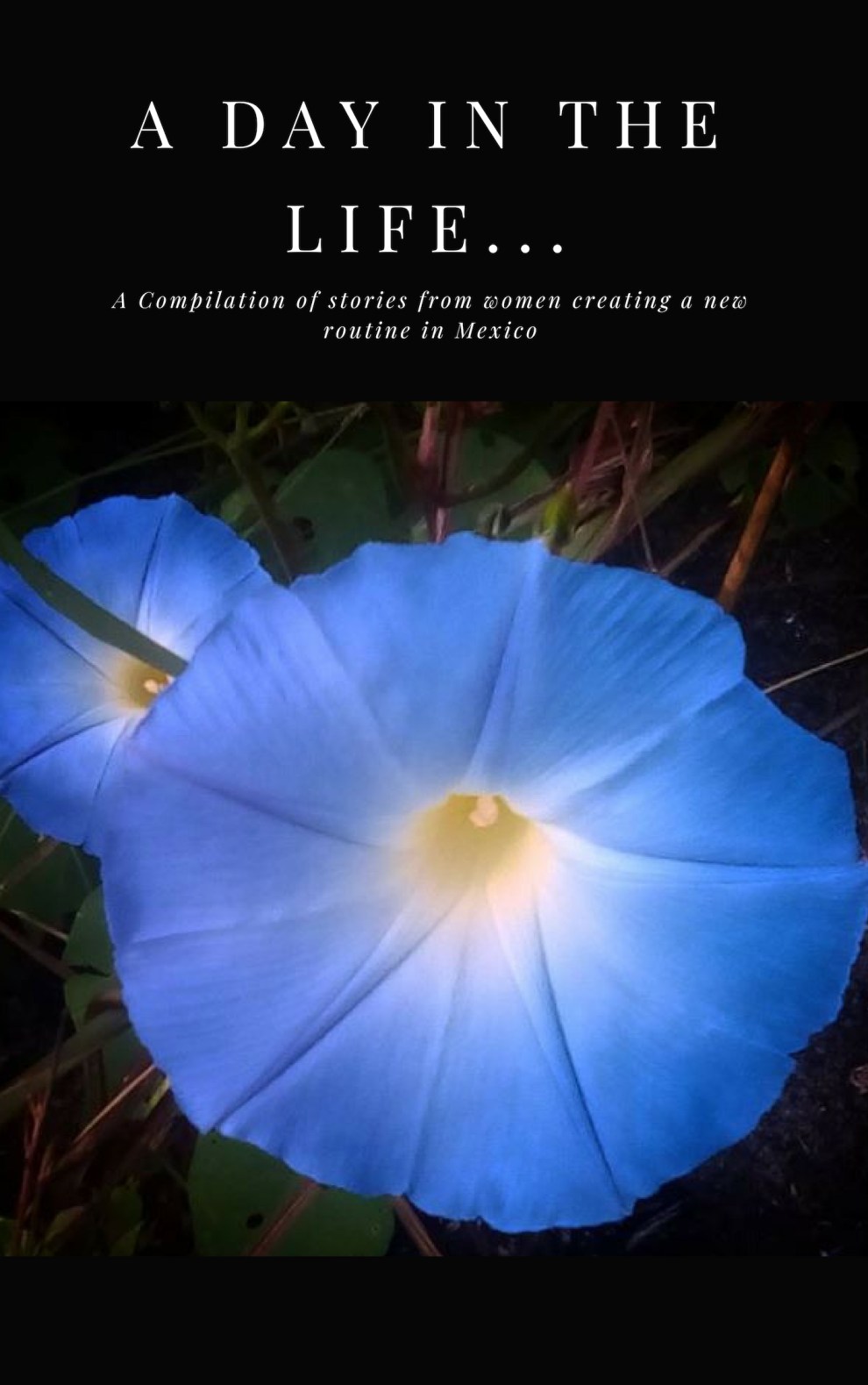 A Day in the life... cover