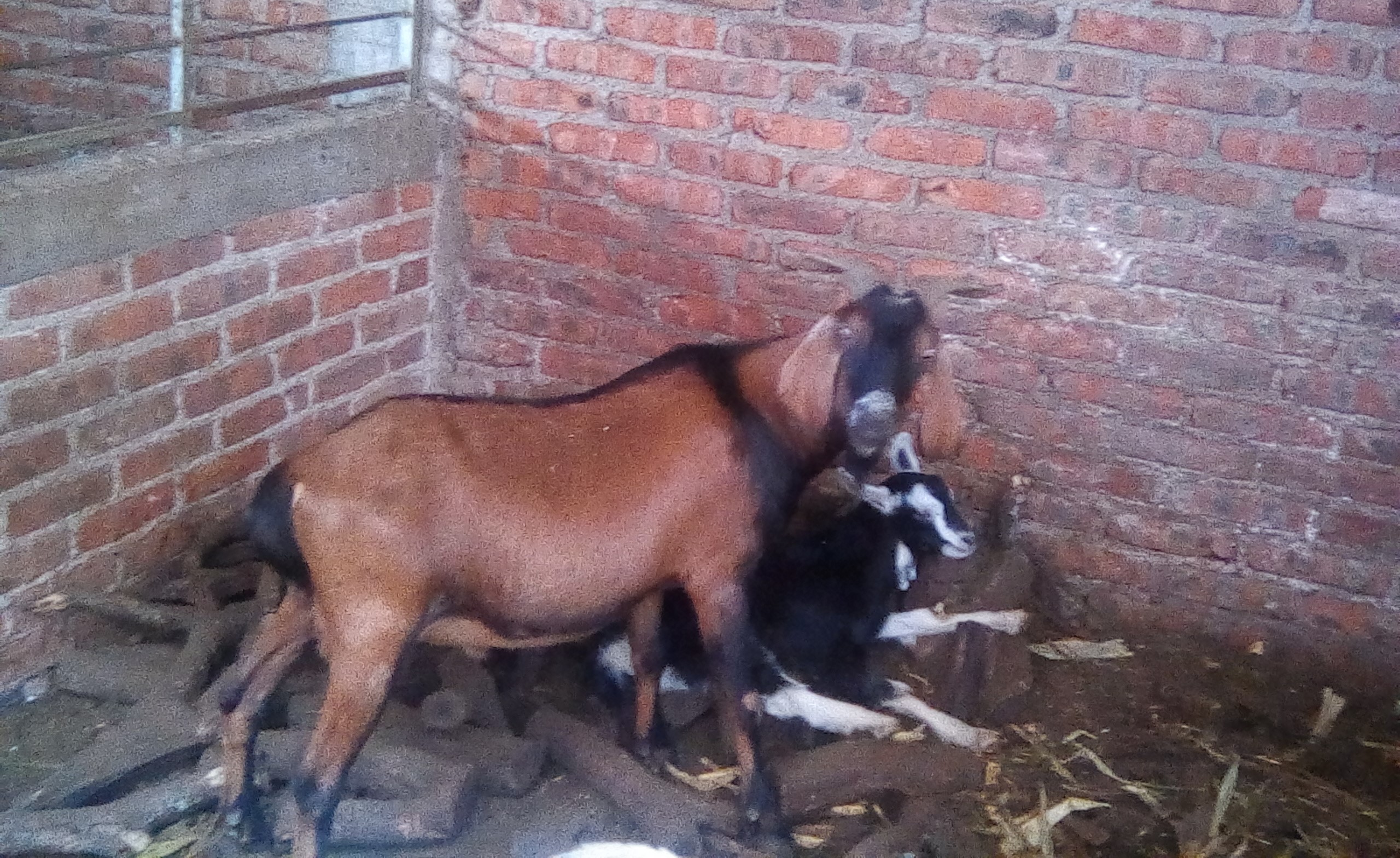 img_20190123_142958 (2)