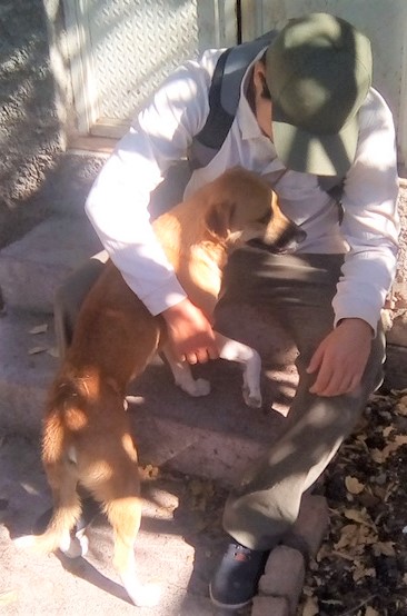 IMG_20190511_172640 (2)