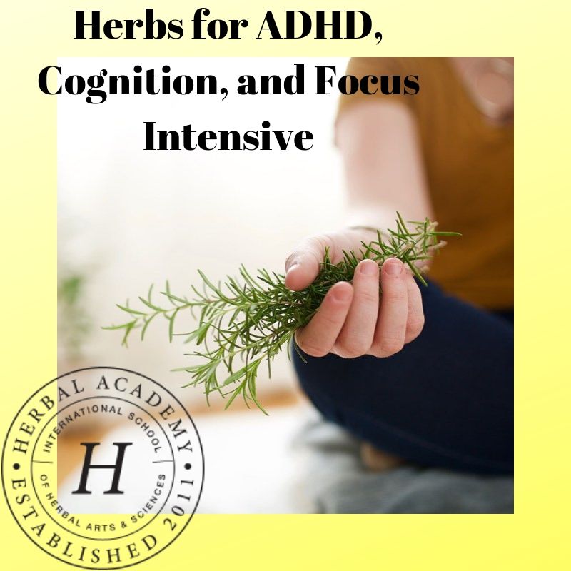 Herbs for ADHD, Cognition, and Focus Intensive