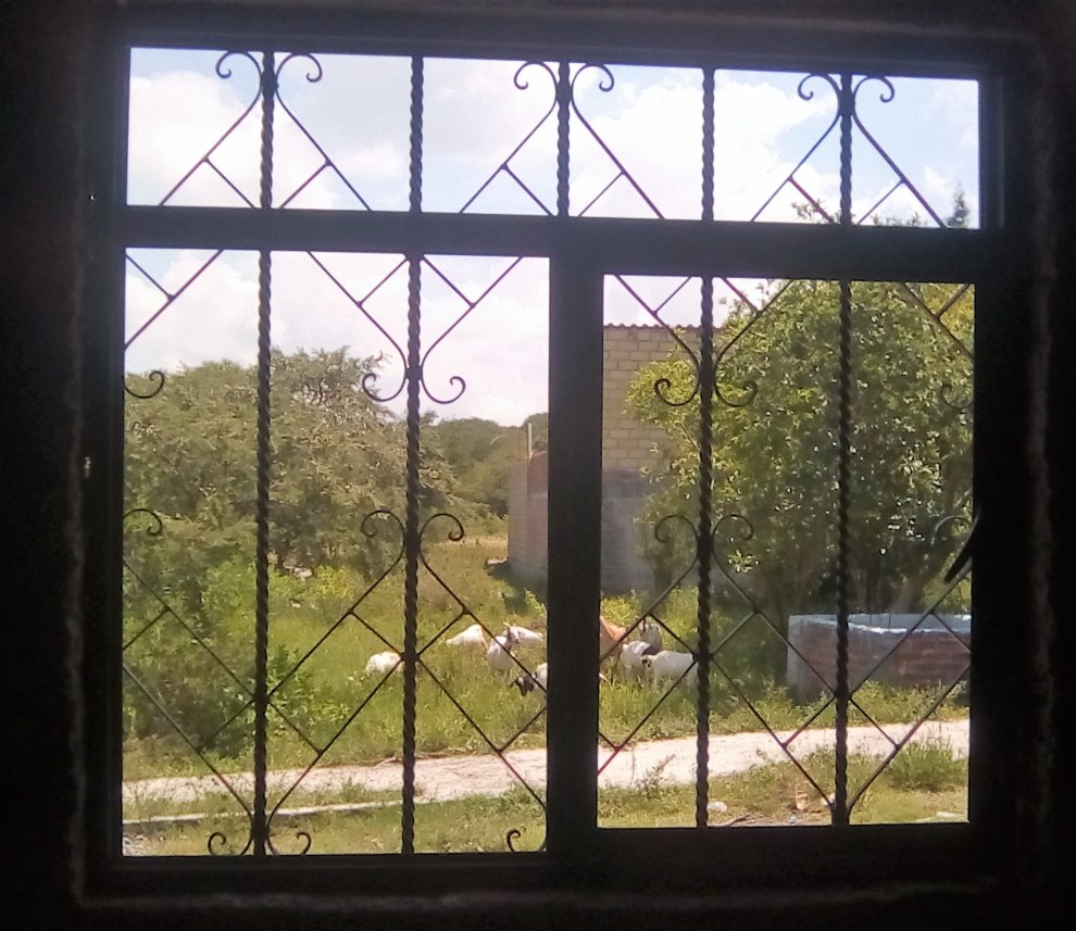 IMG_20190909_125446 (2)