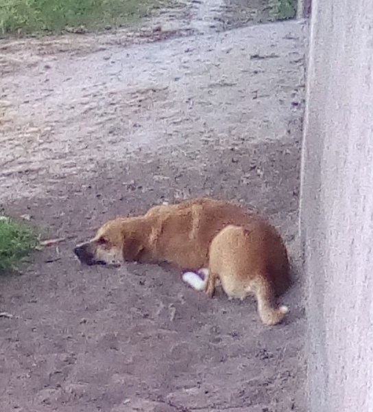 IMG_20190916_110802 (2)