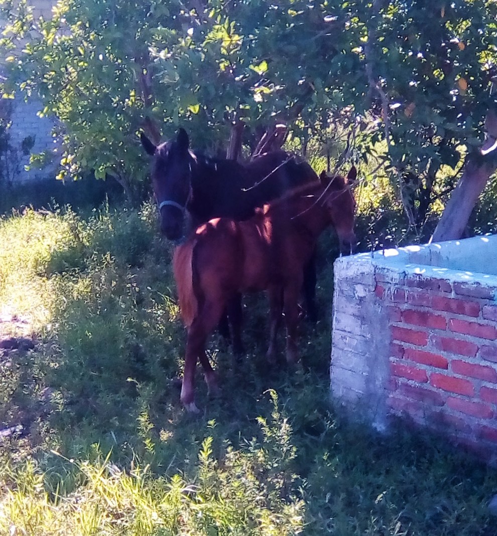 IMG_20190916_111220 (2)