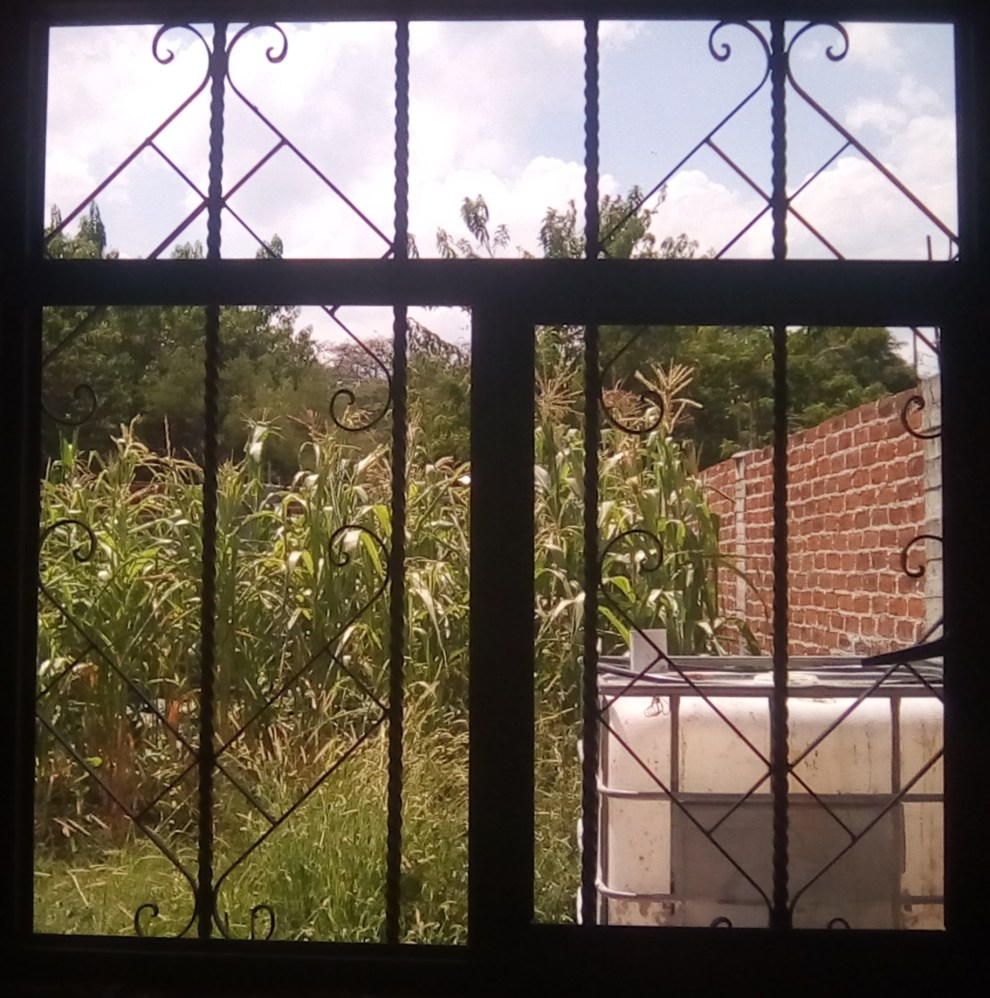 IMG_20190924_145100 (2).jpg