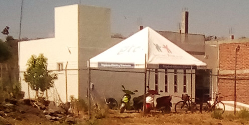 renew seguro popular