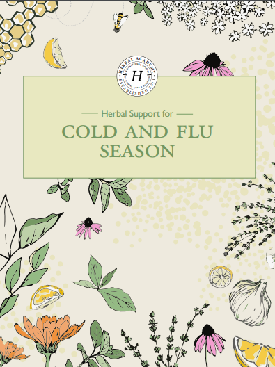 Captura de pantalla (117)