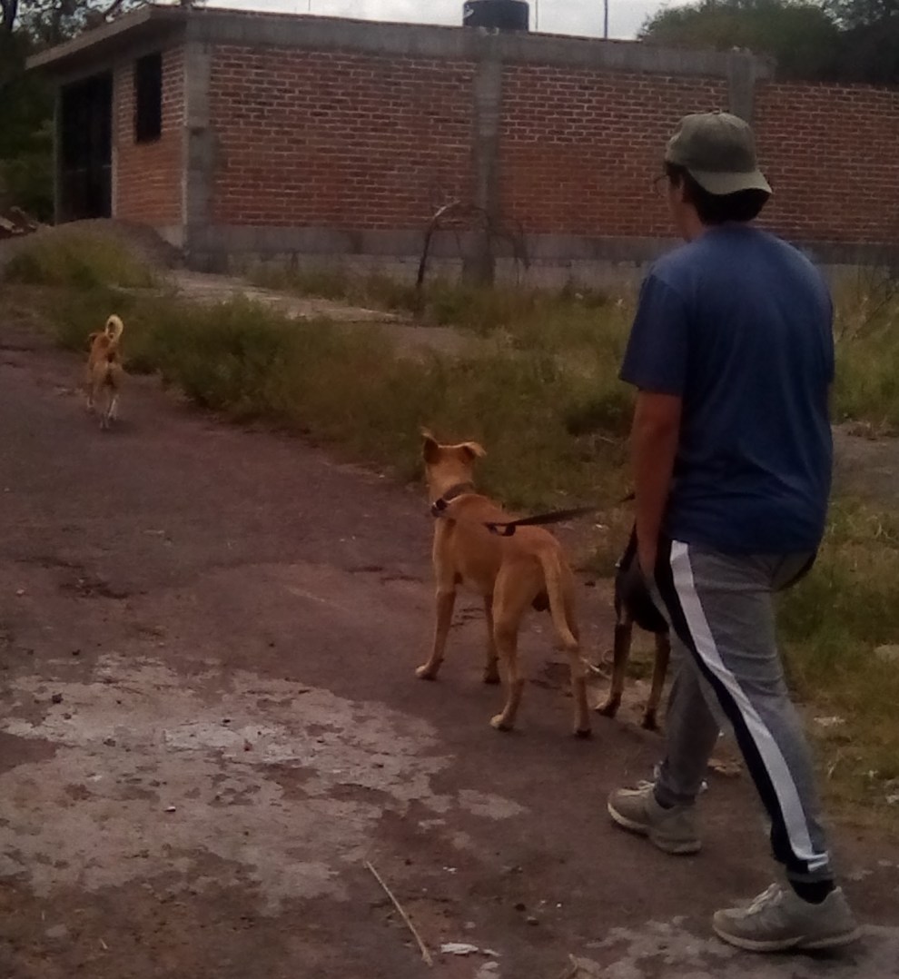 IMG_20191008_131524 (2)