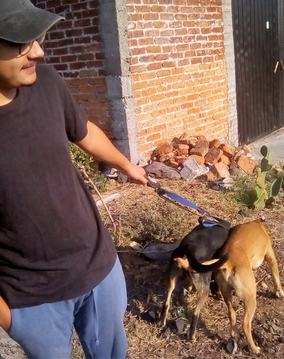 IMG_20200430_085758 (2)